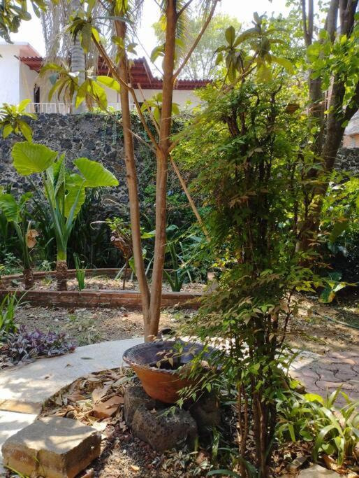 Linda Casa En Tepoztlan Centro 1 Vila Exterior foto