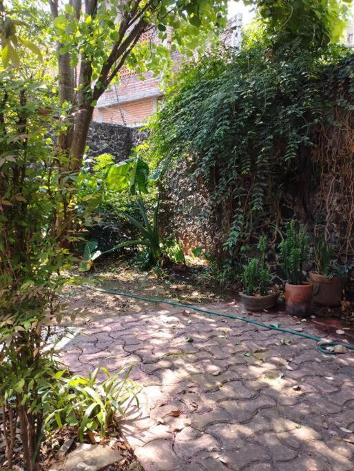 Linda Casa En Tepoztlan Centro 1 Vila Exterior foto
