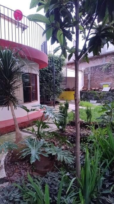 Linda Casa En Tepoztlan Centro 1 Vila Exterior foto